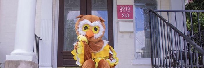 Louisville Chi Omega banner
