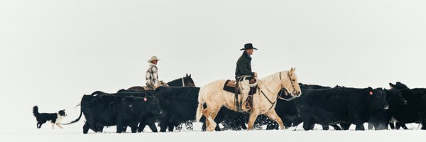 filson Profile Banner