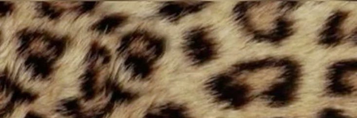 deliaaa89's profile banner image