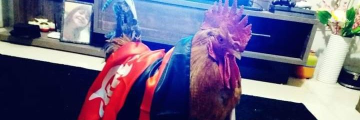 ElKaiou's profile banner image