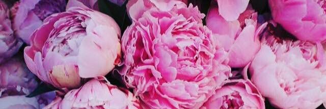 Diann Camacho banner