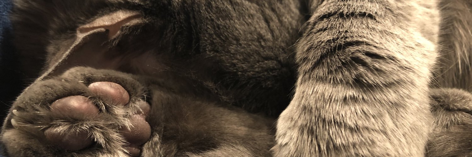 booshwash's profile banner image