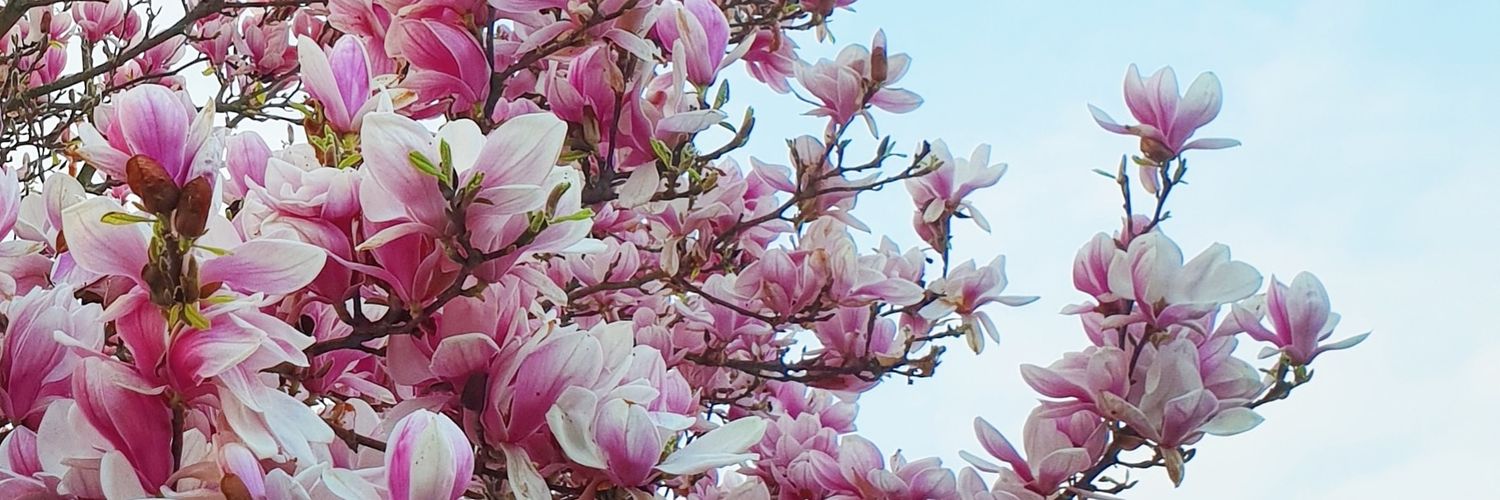 violettefactory's profile banner image