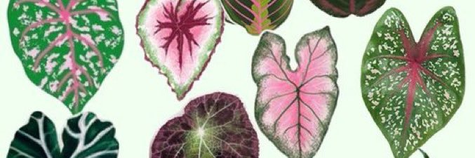 AllyJones121's profile banner image