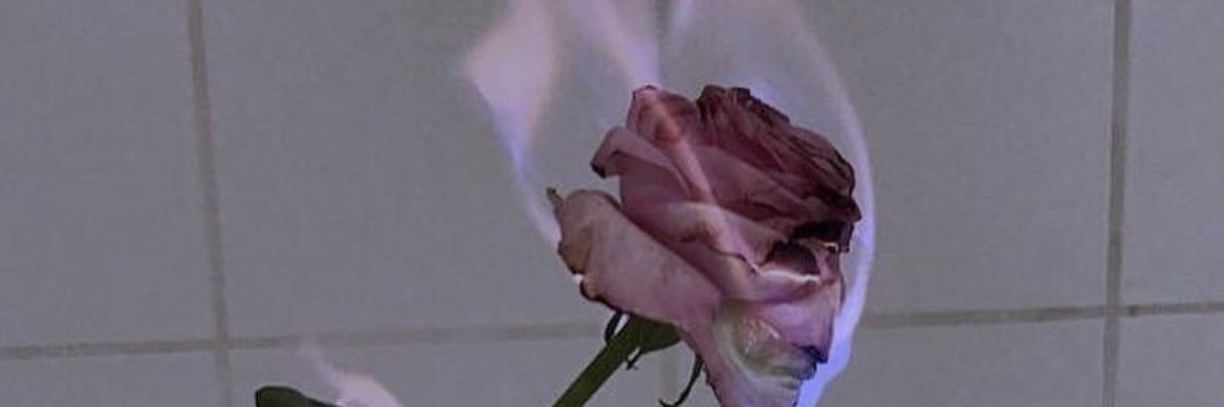 ashh_cw's profile banner image