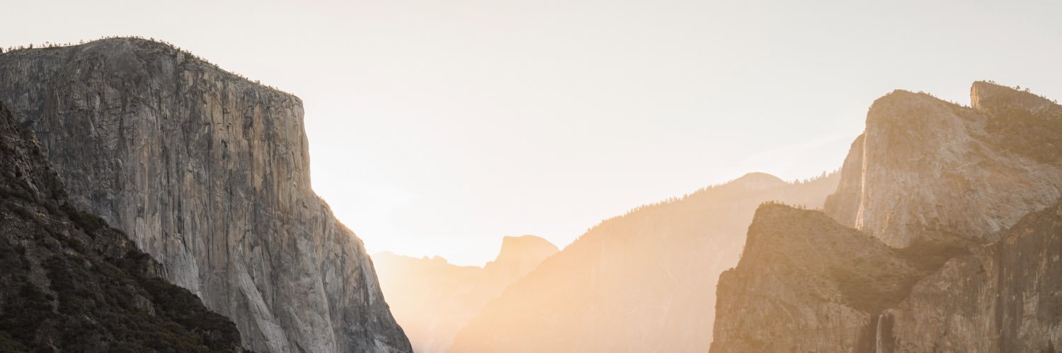 Tiffany Nguyen banner