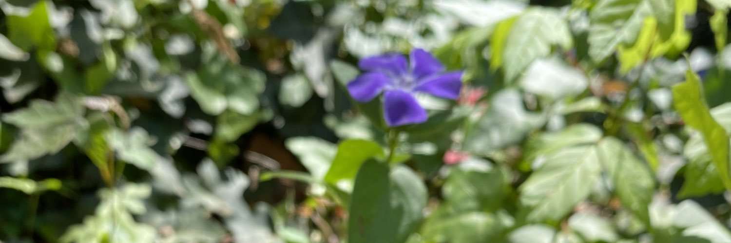 KatMorrison99's profile banner image