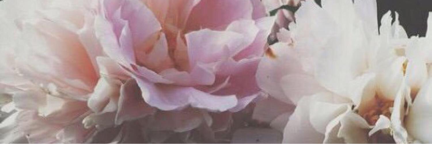 CaitDobczyk's profile banner image