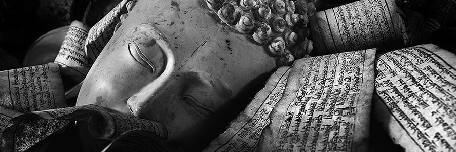 sankarsridhar's profile banner image