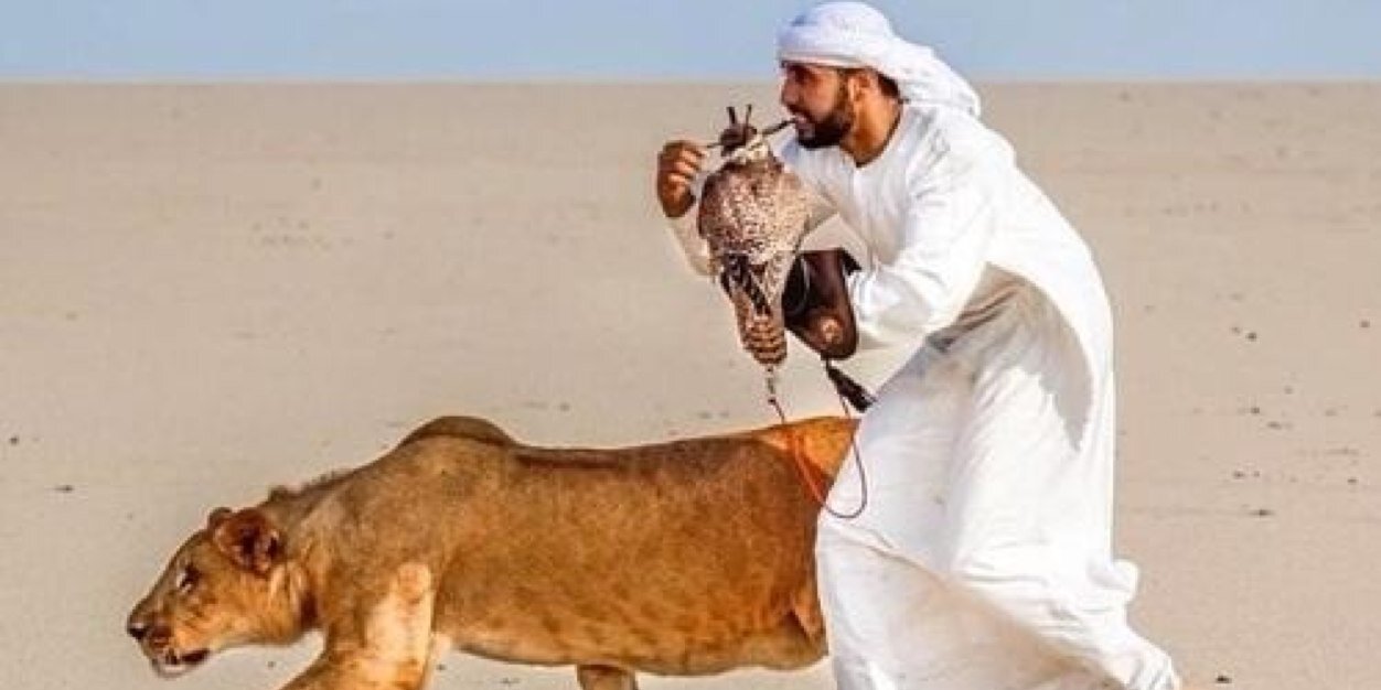 abibaaax's profile banner image