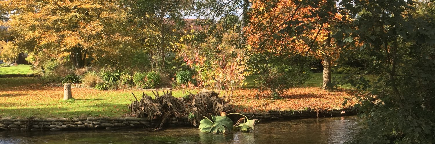 Frances Plascott banner