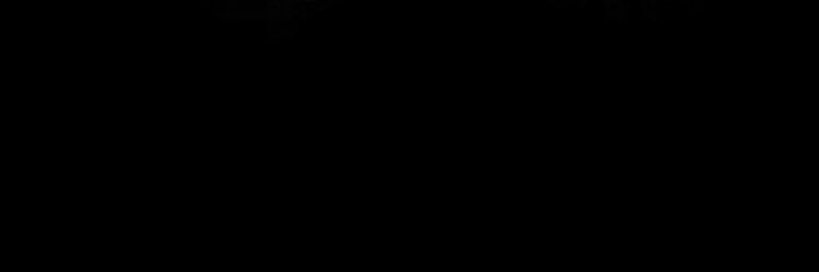 JulieetaLopez's profile banner image