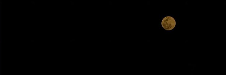 F3cx66's profile banner image