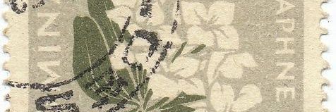 costicff's profile banner image
