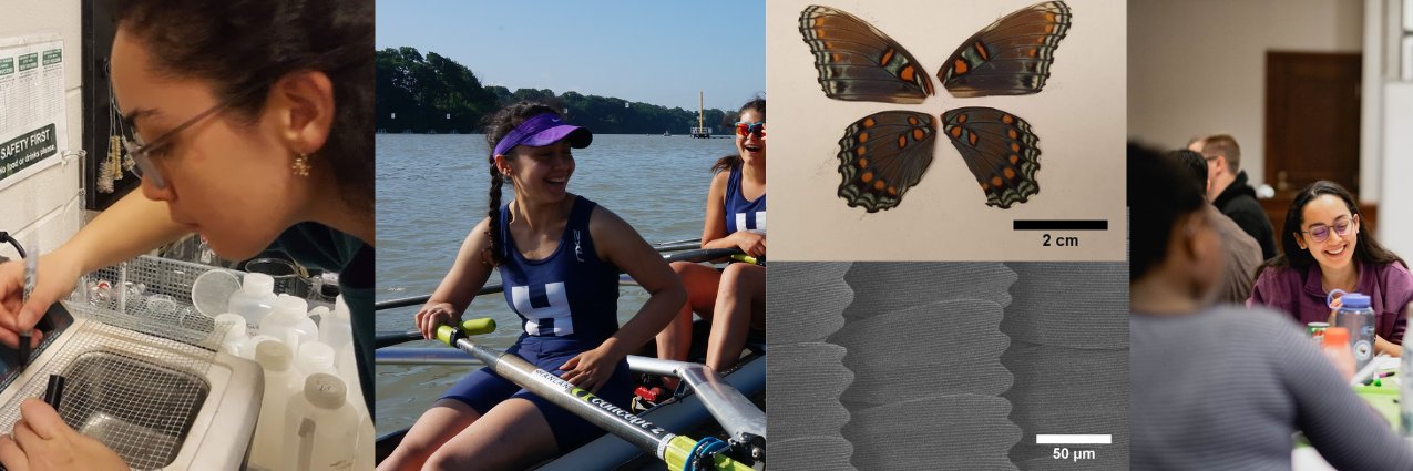 Ungku Zoë Anysa banner