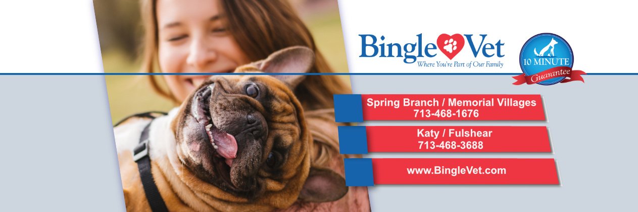 BingleVet's profile banner image