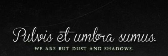 SummerCSteele's profile banner image