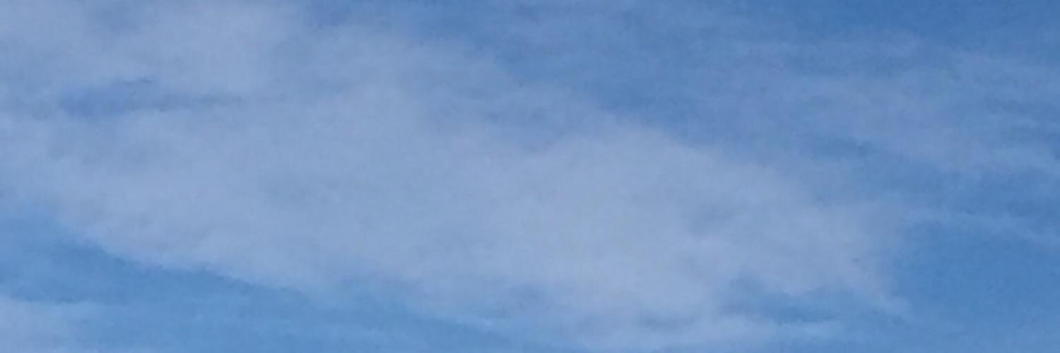 Artdelsing's profile banner image