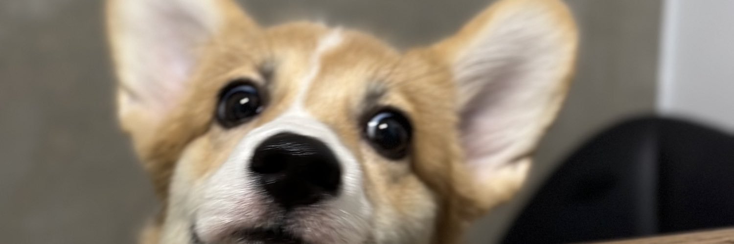 wongady's profile banner image