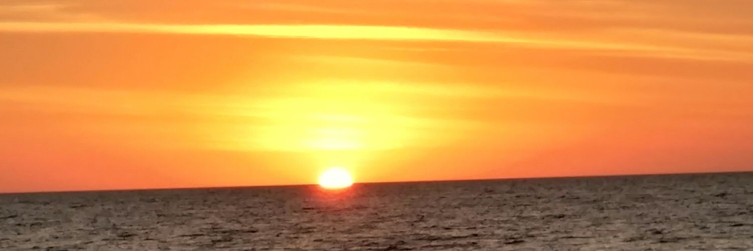 Lmflower's profile banner image