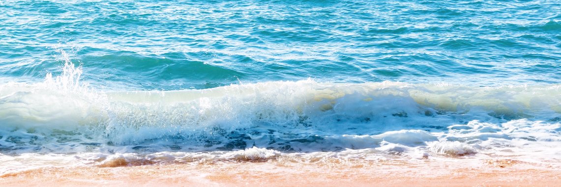 Megan Barnes banner