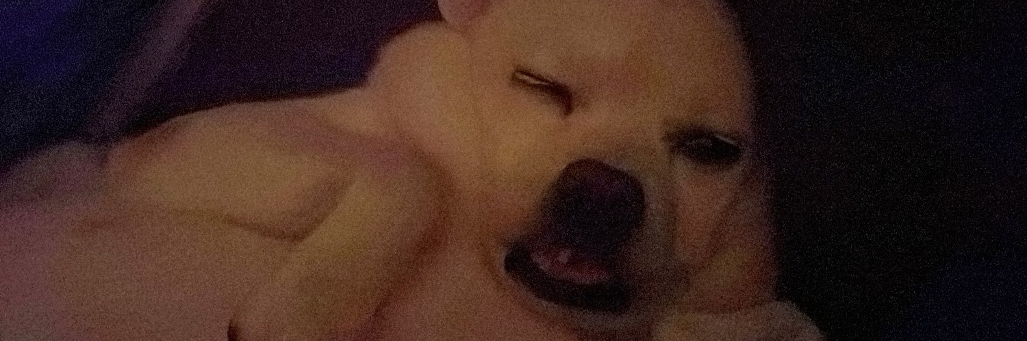 meatypatty's profile banner image