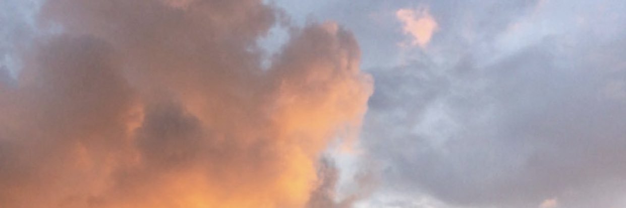 __landyn's profile banner image