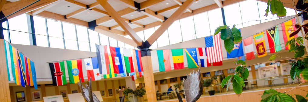 MTU Forestry-EnvSci banner