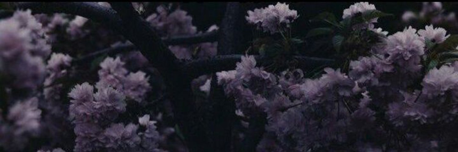 一诺爱美甲 banner
