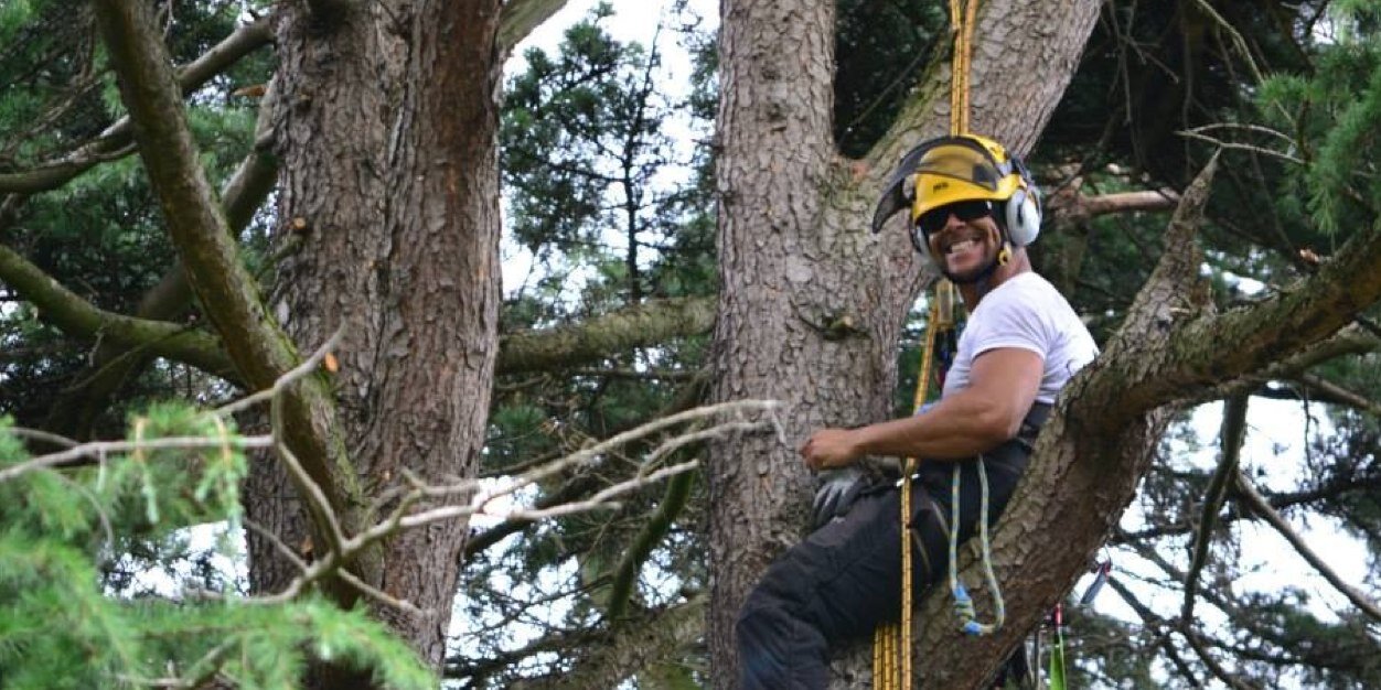 MobsterPowell JDGE banner