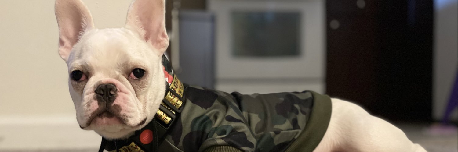 ctfb_rico's profile banner image