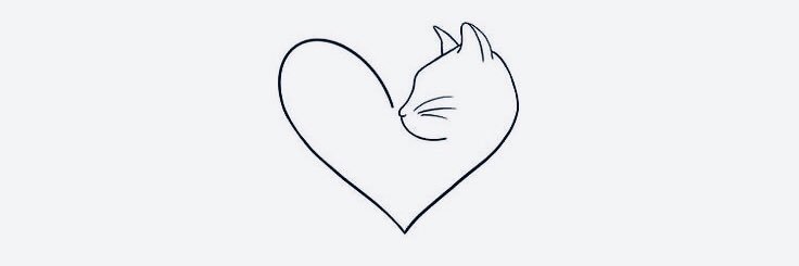 fatoomy_m's profile banner image