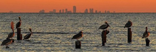 FOX 8 New Orleans Profile Banner