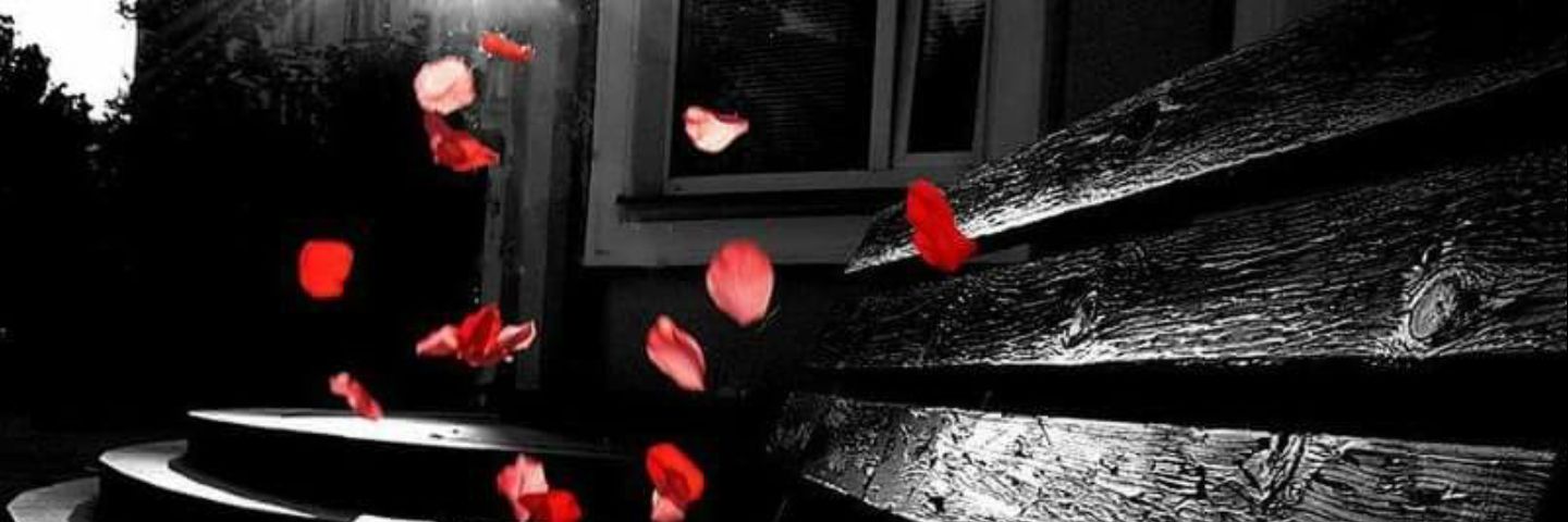 Miss_Kymberli's profile banner image