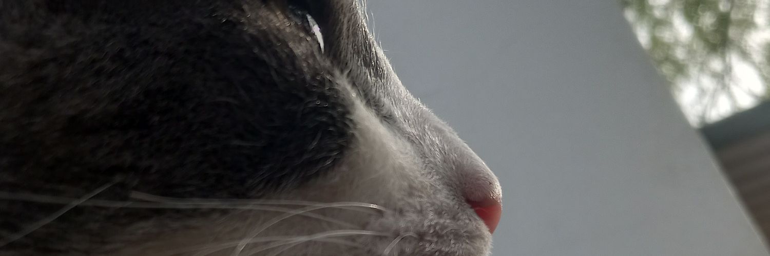 axelkr_'s profile banner image