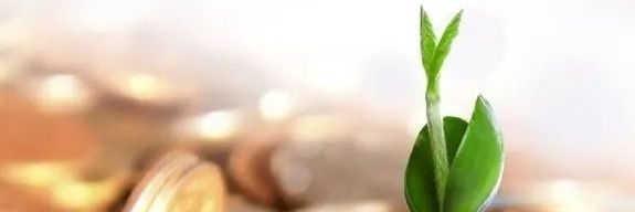ACEFUND_SG's profile banner image