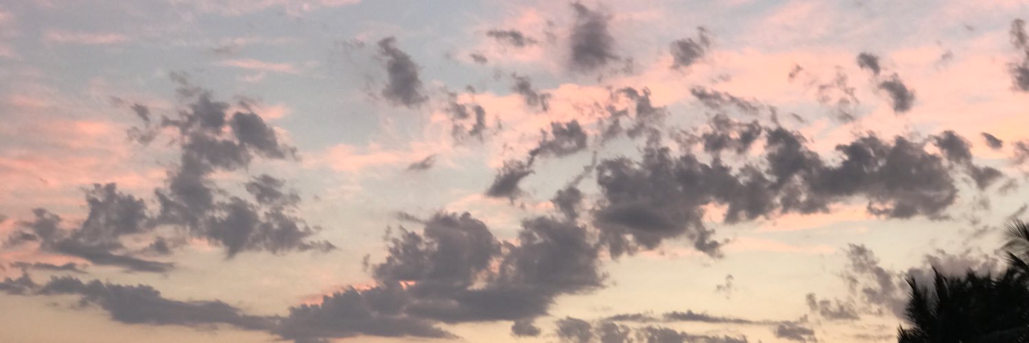 xomellzz's profile banner image