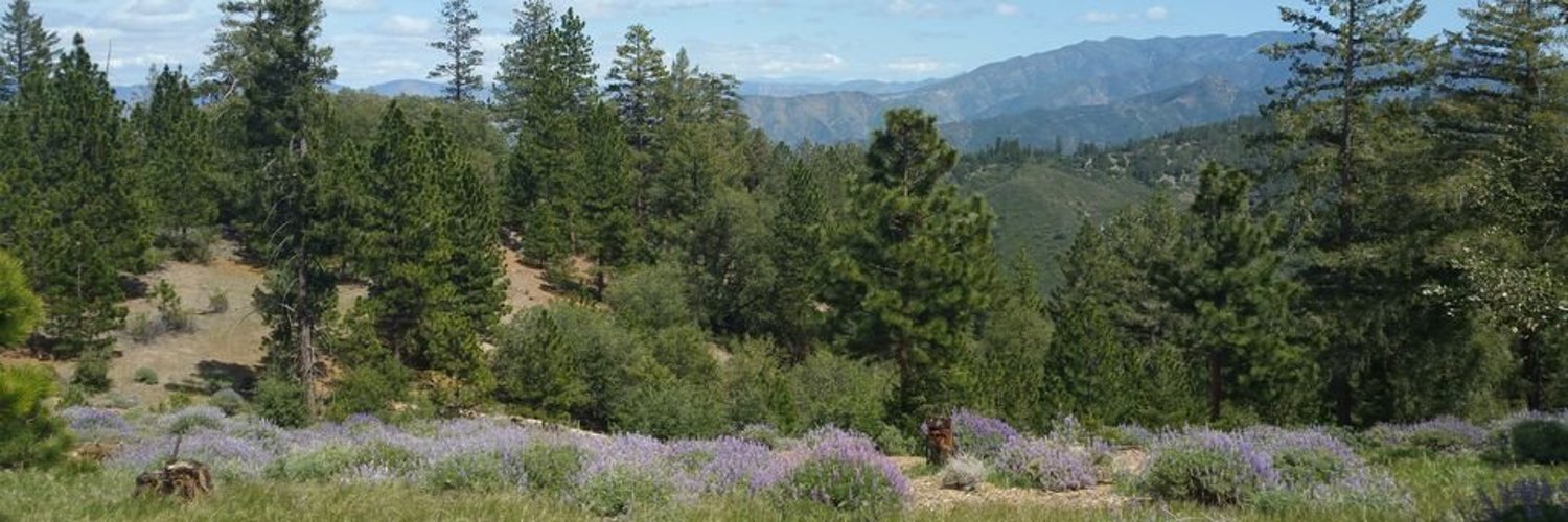 Los Padres NF Profile Banner