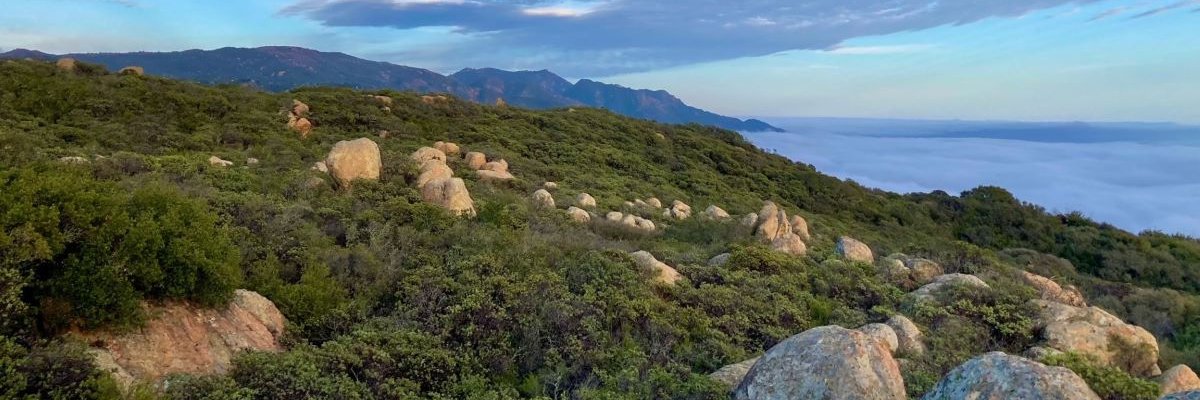 Los Padres NF banner