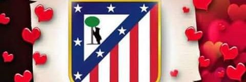sercel51's profile banner image
