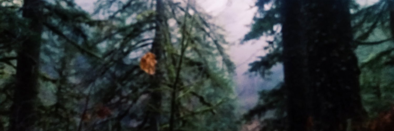 BayleeIsGod's profile banner image