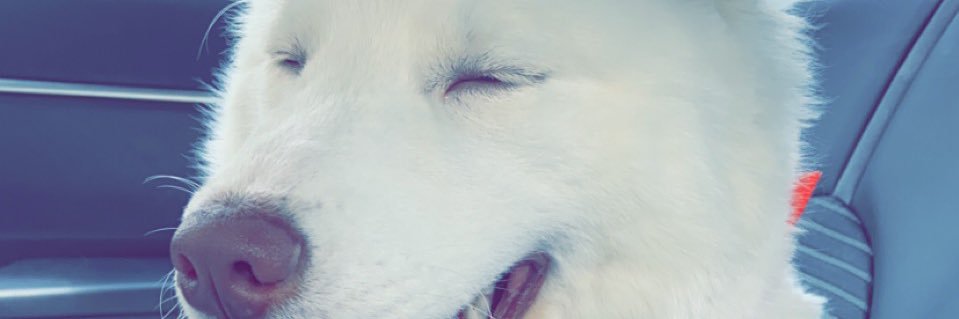 abigaileilers's profile banner image