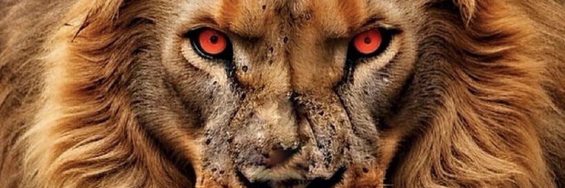 rmznagrmn's profile banner image
