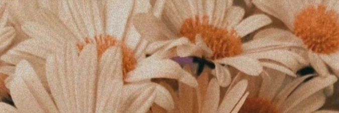 Fracassadissima's profile banner image