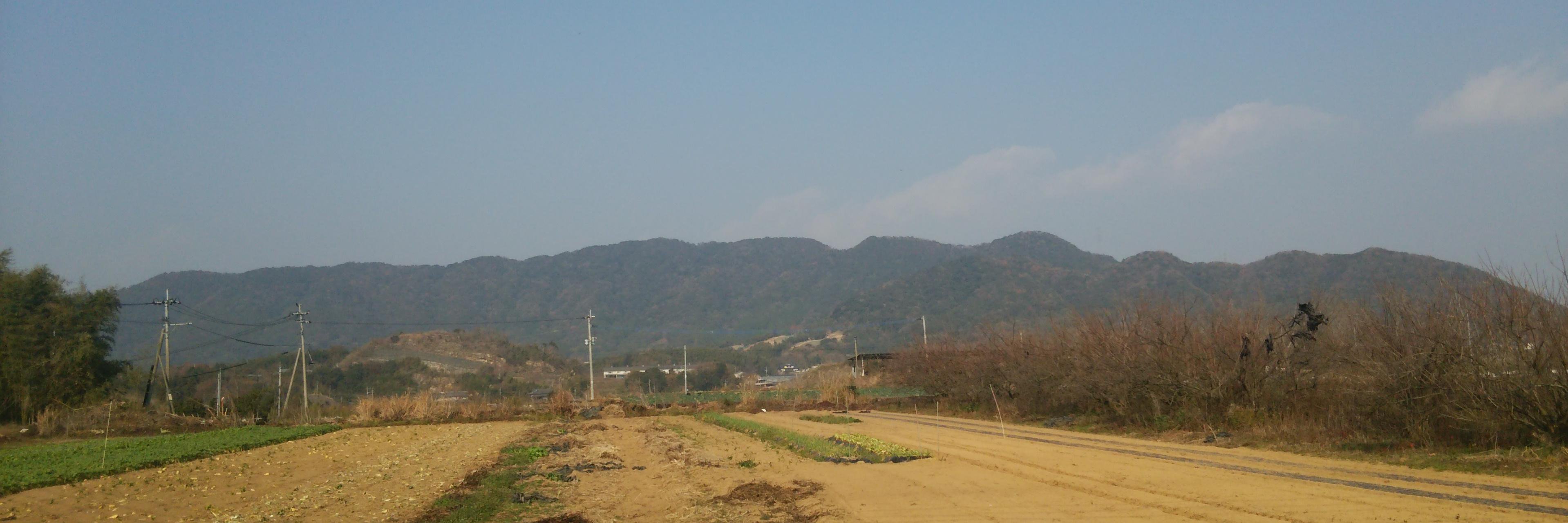 patapi_ide's profile banner image