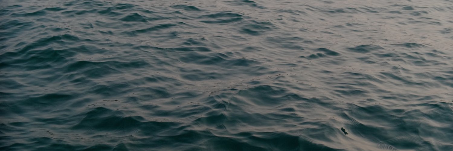 BairdDeniel's profile banner image