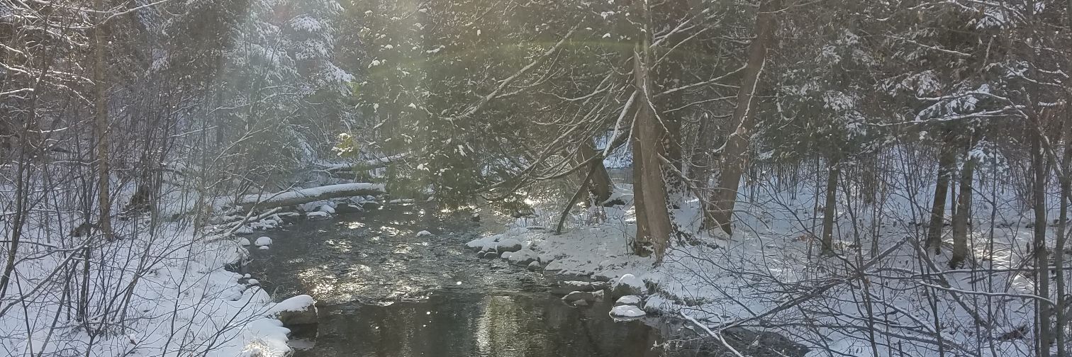 awarren2's profile banner image