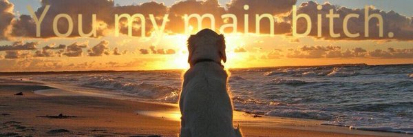 AlllGolden Profile Banner