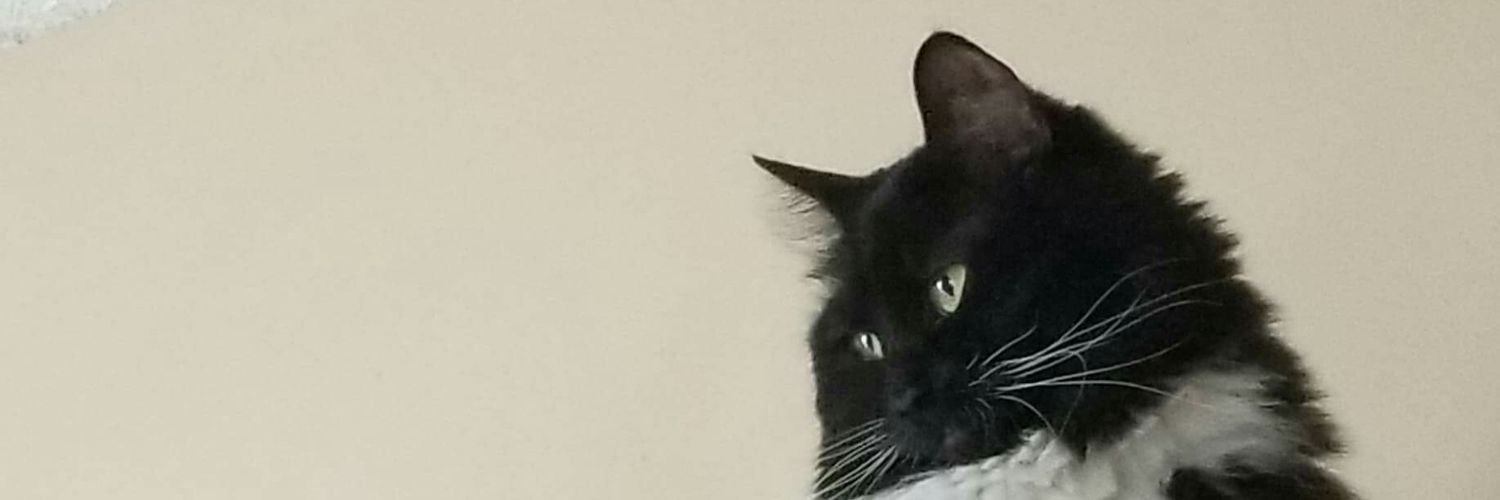 Diamondkfarms's profile banner image