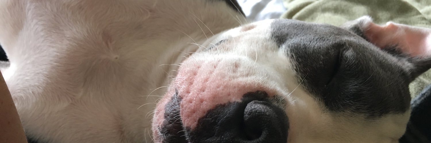 julhall11's profile banner image